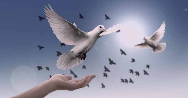 Δελτίο τύπου: Κλειστά τα καταστήματα του Αγίου Πνεύματος στη Θεσσαλία